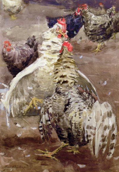Galli, 1910 da Ernest Procter